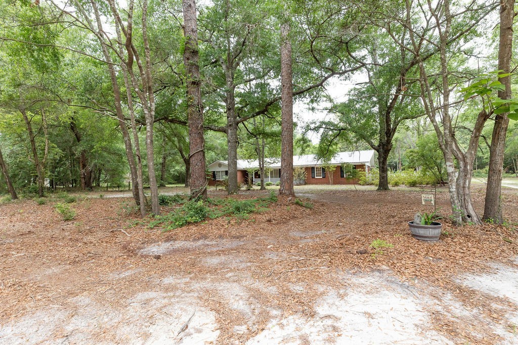 701 Log Landing Road Springfield, GA 31329 - Photo 6 of 16