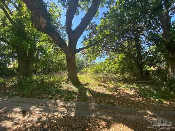 a view of a tree in a yard