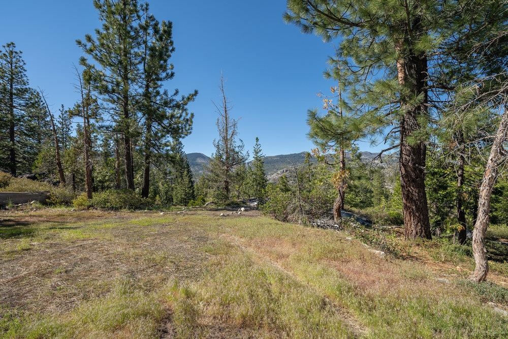 11820 Eagle Lakes Road Nevada City, CA 95959 - Photo 21 of 26 a view of a yard with a tree