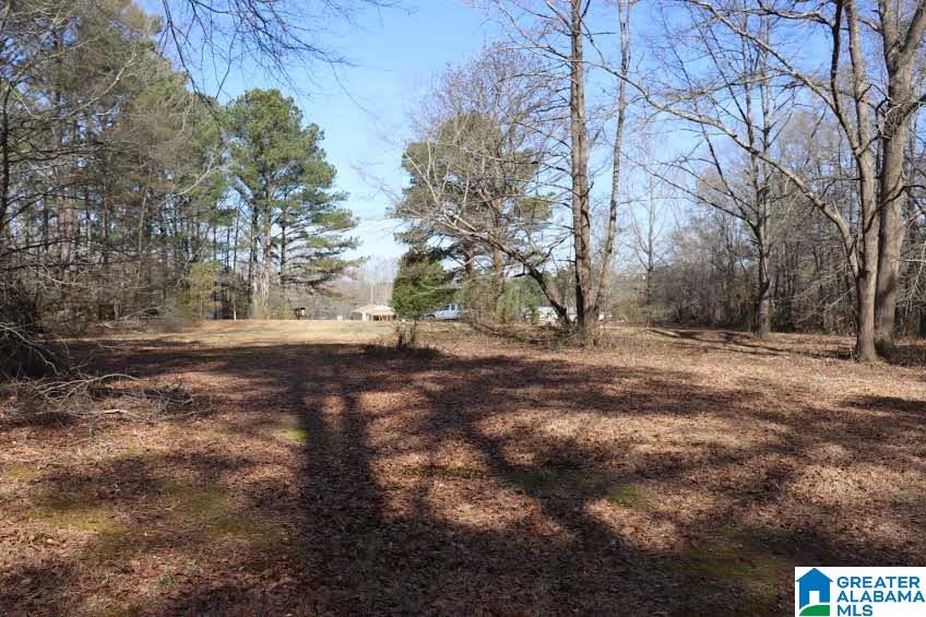 4908 Jim Goggans Road Dora, AL 35062 - Photo 28 of 30