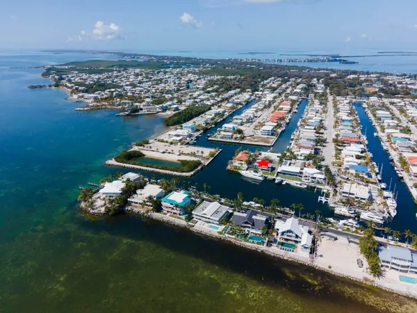 a row of palm trees and a fire pit in the middle of a yard