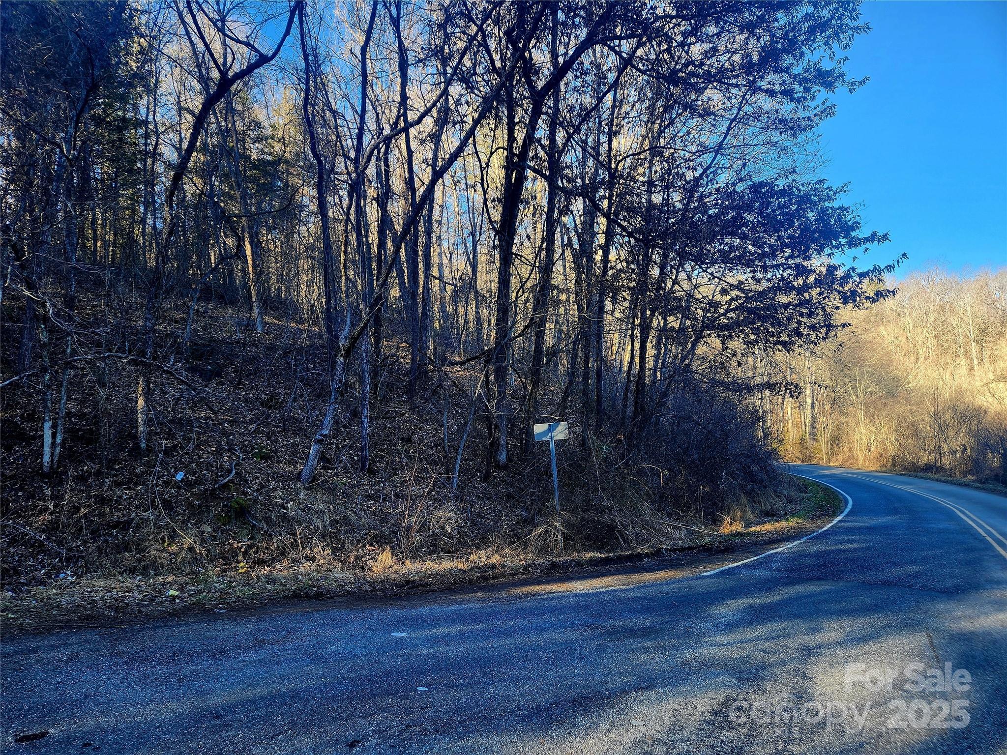 0 Lyle Wilson Road Cullowhee, NC 28723 - Photo 5 of 8