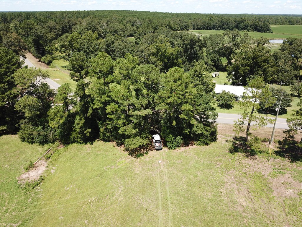 33 Rehobeth Al Dothan, AL 36303 - Photo 30 of 46