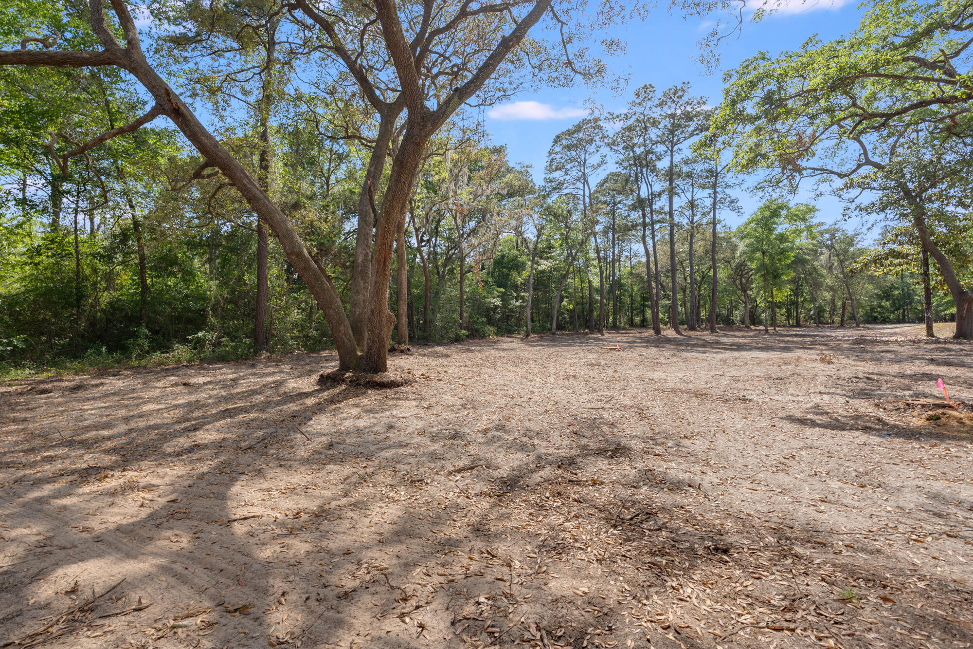 Tbd McDaniels Fishcamp Road Freeport, FL 32439 - Photo 1 of 8 mcdaniels fishcamp rd - awp media - 0013