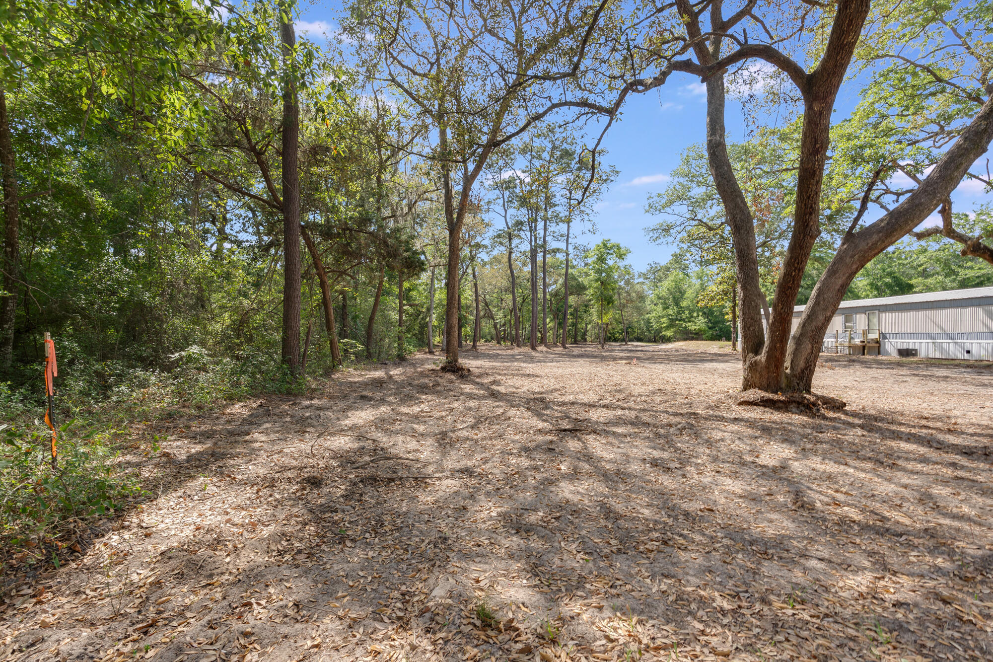 Tbd McDaniels Fishcamp Road Freeport, FL 32439 - Photo 2 of 8 mcdaniels fishcamp rd - awp media - 0003