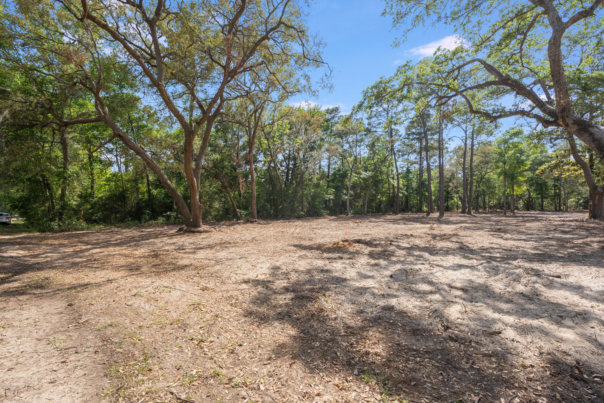 Tbd McDaniels Fishcamp Road Freeport, FL 32439 - Photo 3 of 8 mcdaniels fishcamp rd - awp media - 0018