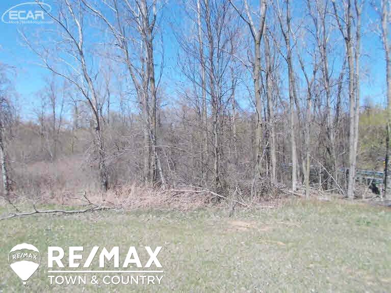 0 Elms Road Montrose, MI 48457 - Photo 3 of 10