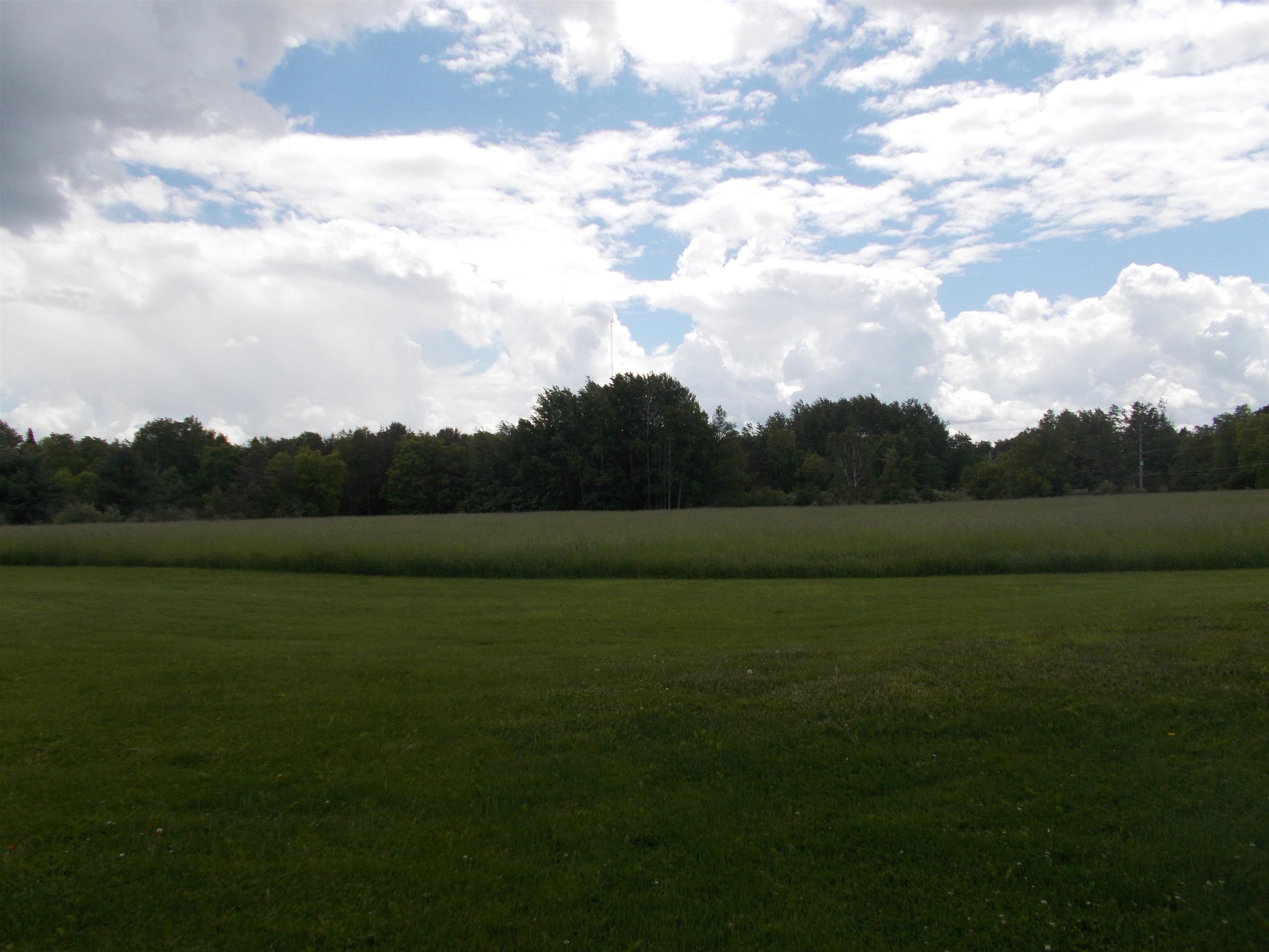 6935 Shellenbarger Road Hale, MI 48739 - Photo 6 of 26 1900925-5.JPG