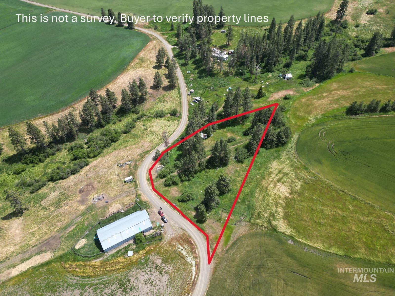 Lot 1 Herrick Road Craigmont, ID 83523 - Photo 4 of 5