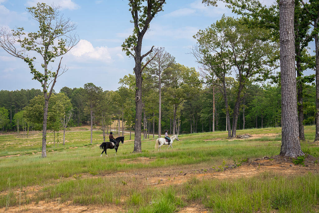 793 Flowing Well Road Wagener, SC 29164 - Photo 49 of 61