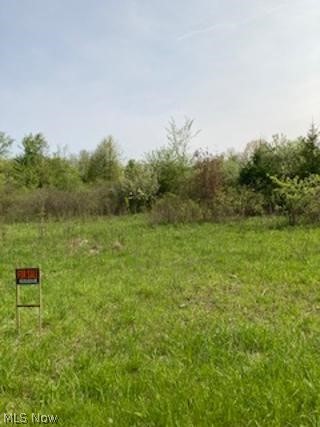 Yager Road Clinton, OH 44216 - Photo 2 of 6