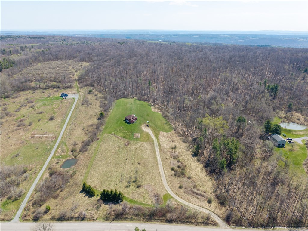 11672 Davis Road Prattsburgh, NY 14873 - Photo 39 of 48