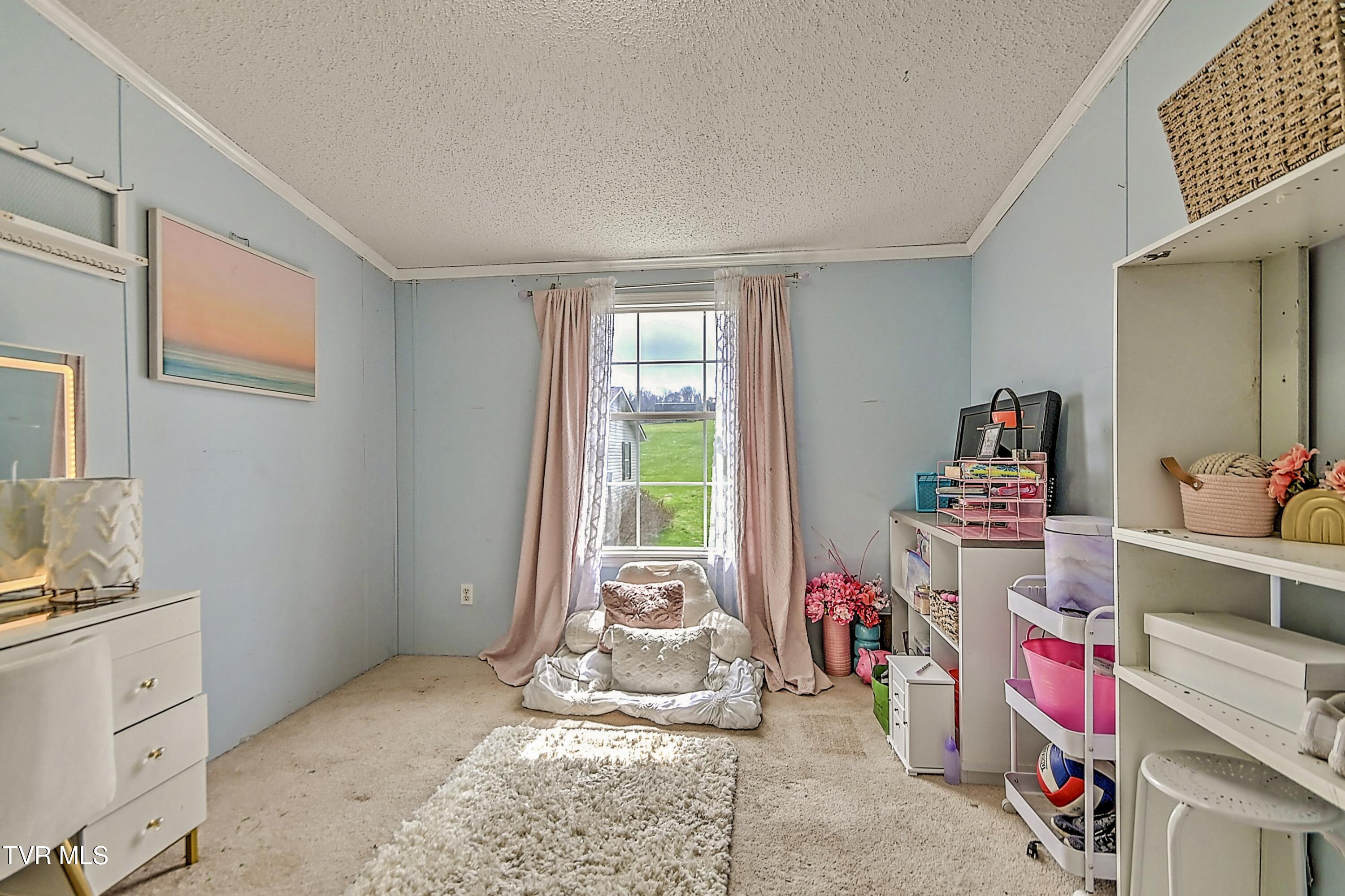 266 Max Jett Road Johnson City, TN 37601 - Photo 12 of 36 IMG_4959