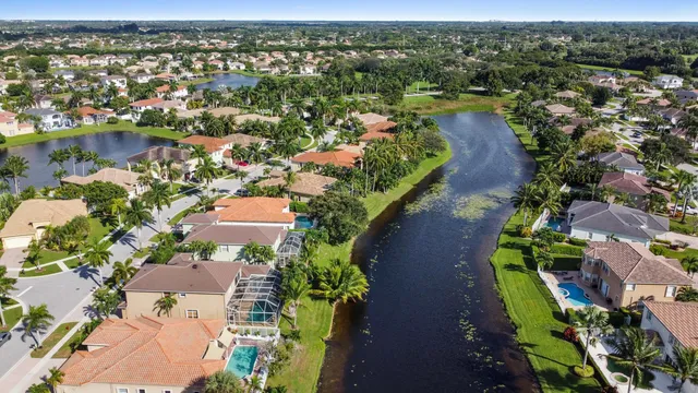 a view of a house with a swimming pool and a large tree
