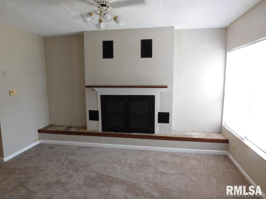 1615 E Keys Springfield, IL 62702 - Photo 3 of 20
