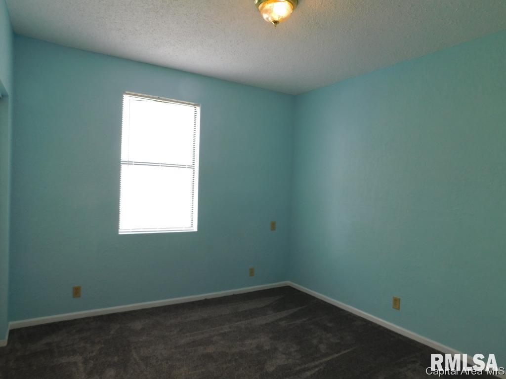 1615 E Keys Springfield, IL 62702 - Photo 10 of 20