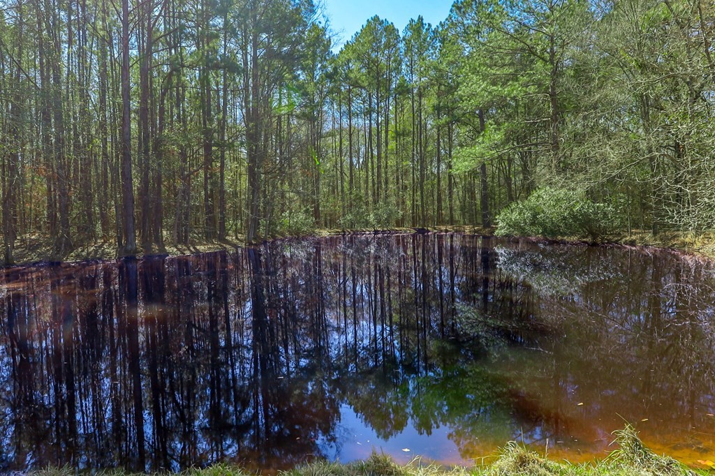 694 Harvill Road Huntington, TX 75949 - Photo 28 of 35