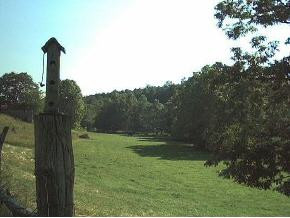 536 Bayless Road Jonesborough, TN 37659 - Photo 3 of 9 Photo 3