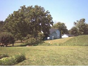 536 Bayless Road Jonesborough, TN 37659 - Photo 7 of 9 Photo 7