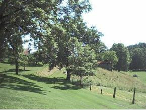 536 Bayless Road Jonesborough, TN 37659 - Photo 8 of 9 Photo 8