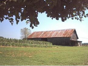 536 Bayless Road Jonesborough, TN 37659 - Photo 9 of 9 Photo 9