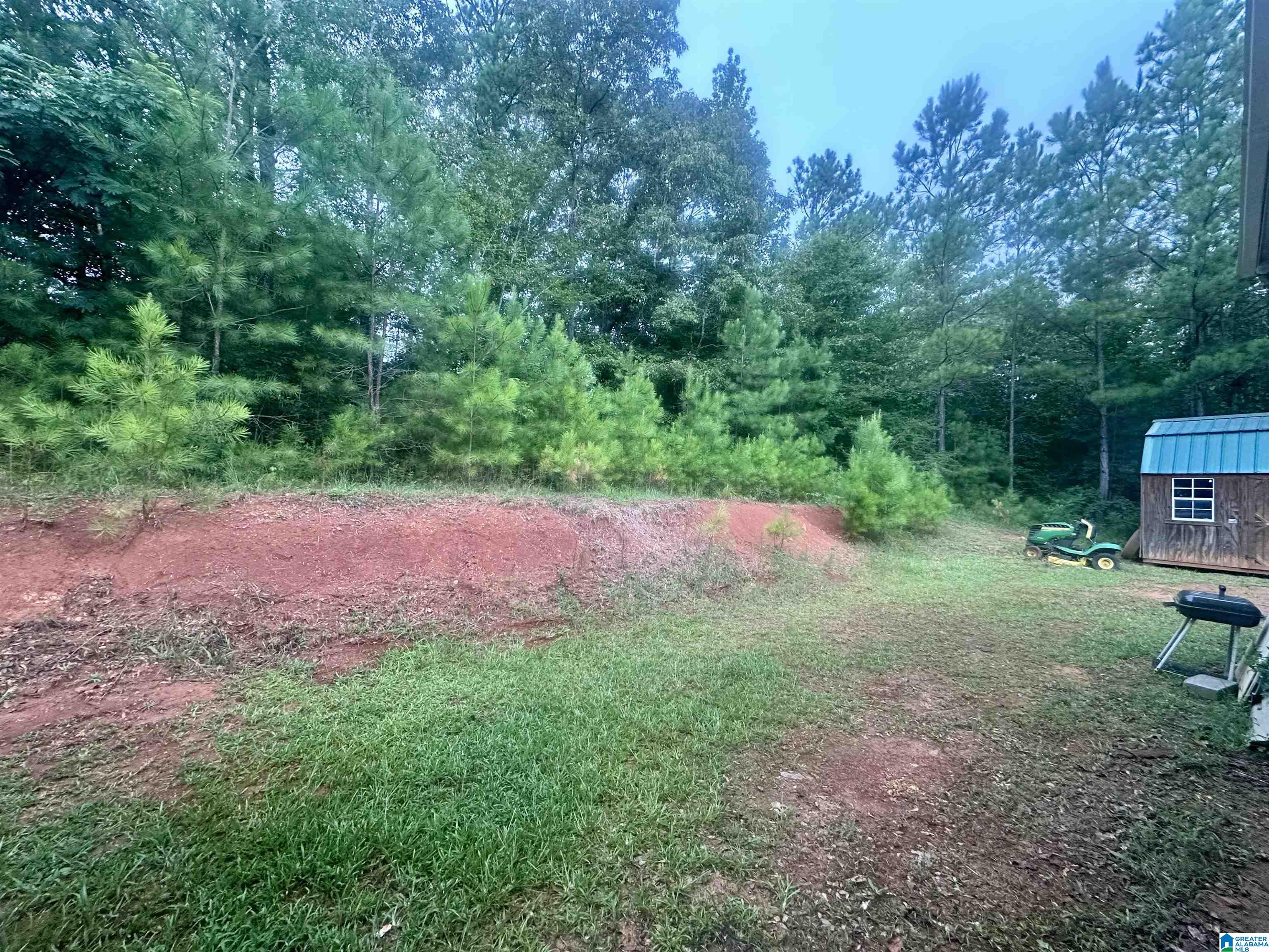 4431 Howells Cove Road Talladega, AL 35160 - Photo 21 of 21