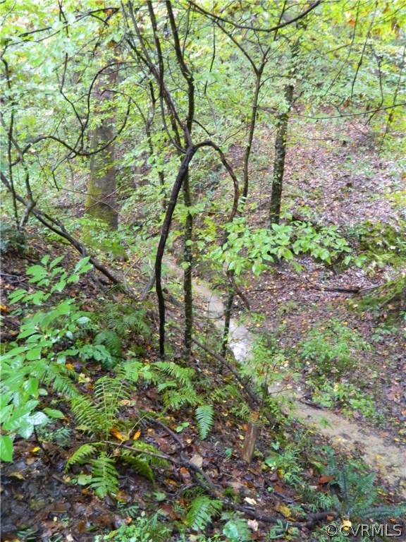 22929 King William Road West Point, VA 23181 - Photo 22 of 23 One of the several creeks
