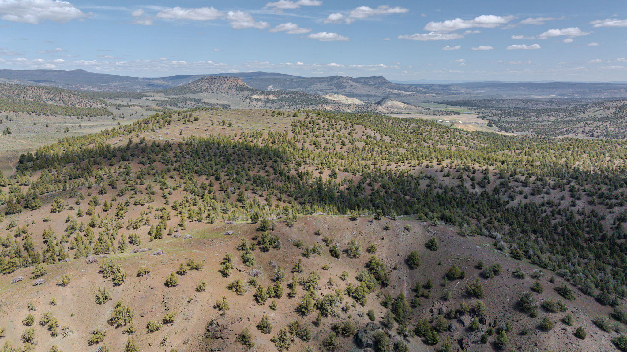 41225 Van Lake Road Prineville, OR 97754 - Photo 114 of 181 DJI_20260430121328_0154_D-HDR