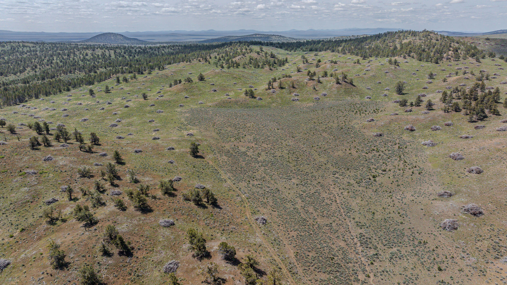 41225 Van Lake Road Prineville, OR 97754 - Photo 122 of 181 DJI_20260430123409_0178_D-HDR