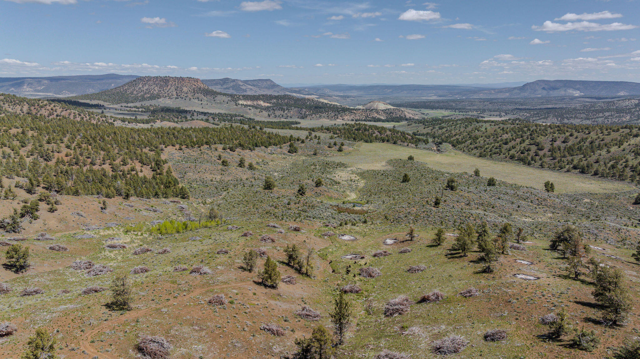 41225 Van Lake Road Prineville, OR 97754 - Photo 130 of 181 DJI_20260430124848_0202_D-HDR