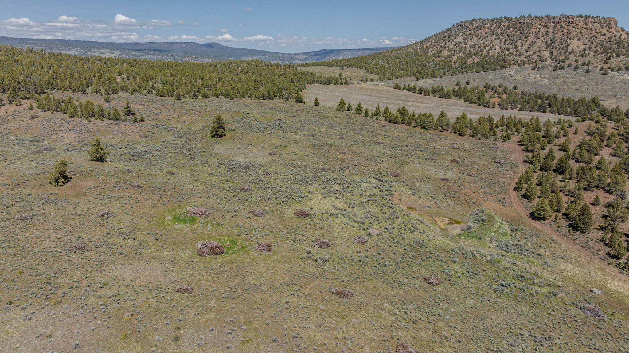 41225 Van Lake Road Prineville, OR 97754 - Photo 136 of 181 DJI_20260430132434_0223_D-HDR