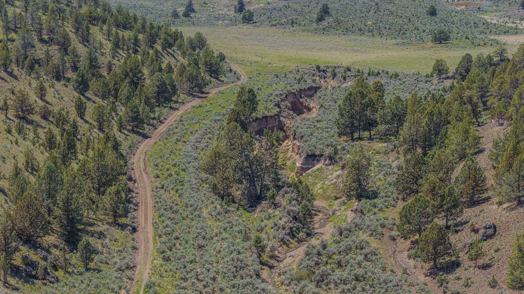 41225 Van Lake Road Prineville, OR 97754 - Photo 142 of 181 DJI_20260430132902_0241_D-HDR