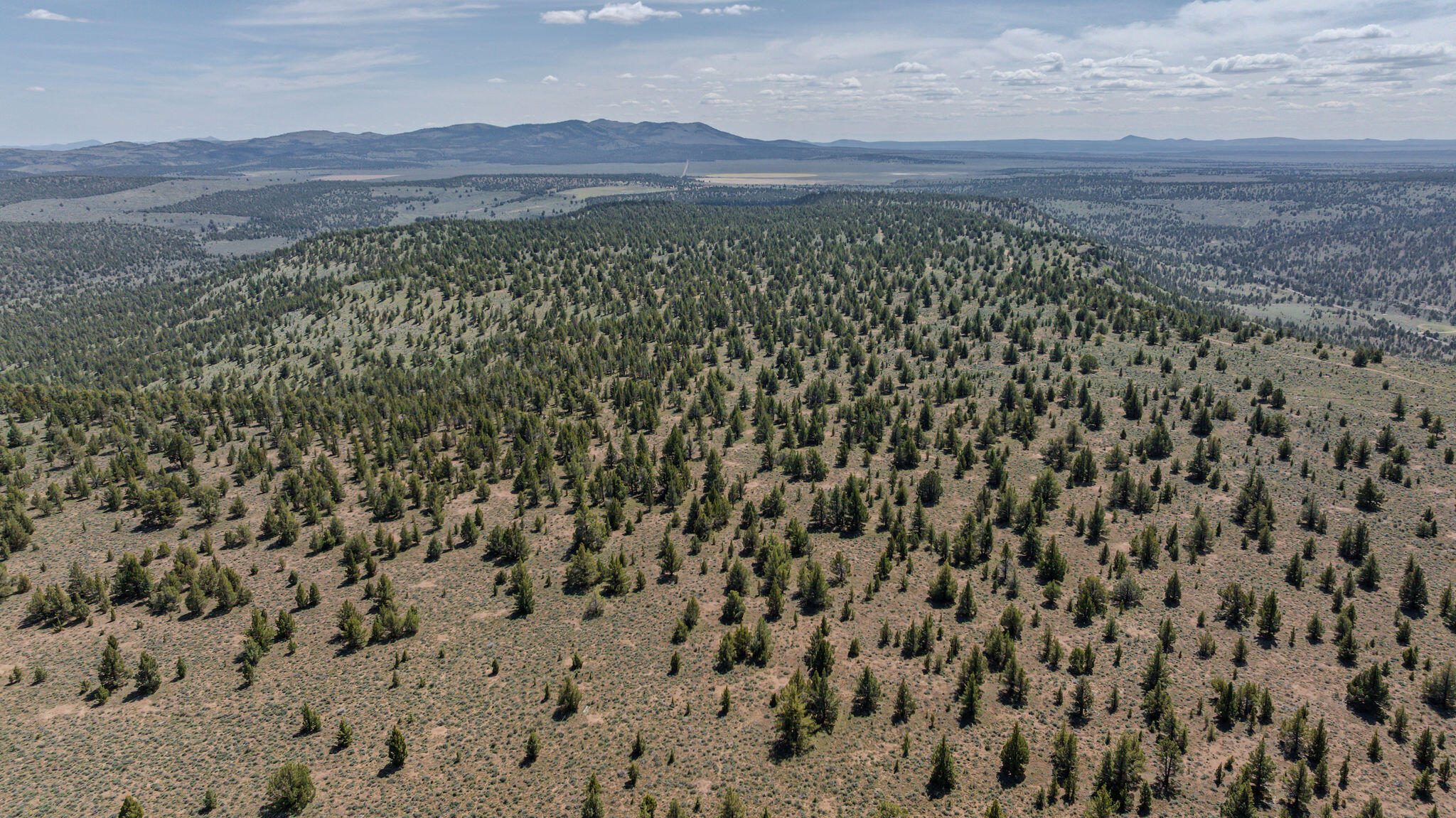 41225 Van Lake Road Prineville, OR 97754 - Photo 152 of 181 DJI_20260430141231_0271_D-HDR