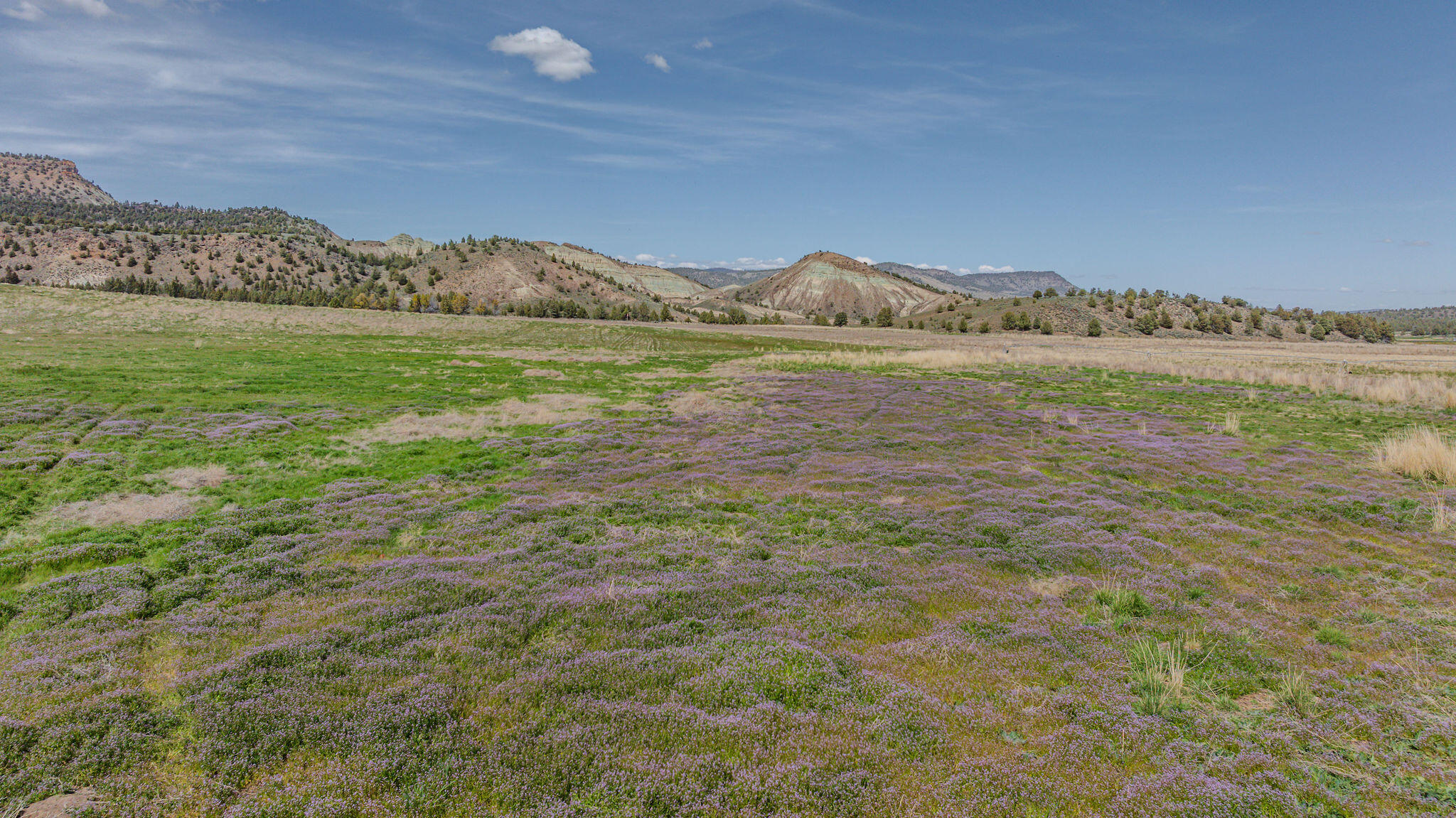41225 Van Lake Road Prineville, OR 97754 - Photo 162 of 181 DJI_20260430145511_0301_D-HDR