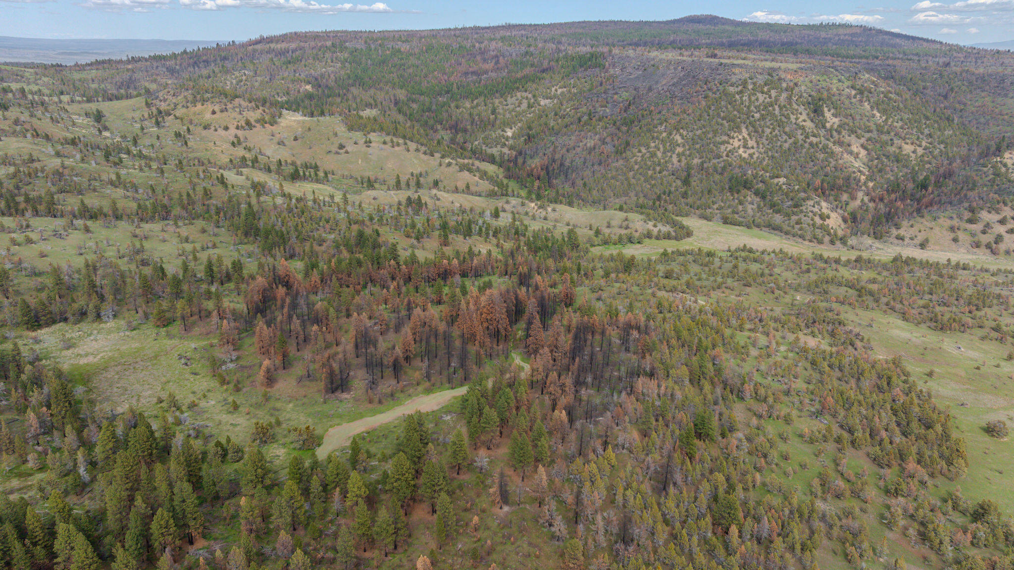 41225 Van Lake Road Prineville, OR 97754 - Photo 172 of 181 DJI_20260430154136_0331_D-HDR
