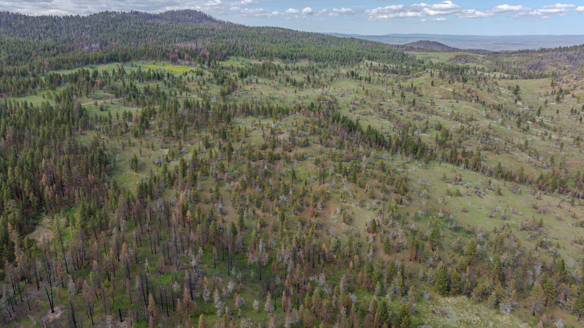 41225 Van Lake Road Prineville, OR 97754 - Photo 173 of 181 DJI_20260430154204_0334_D-HDR