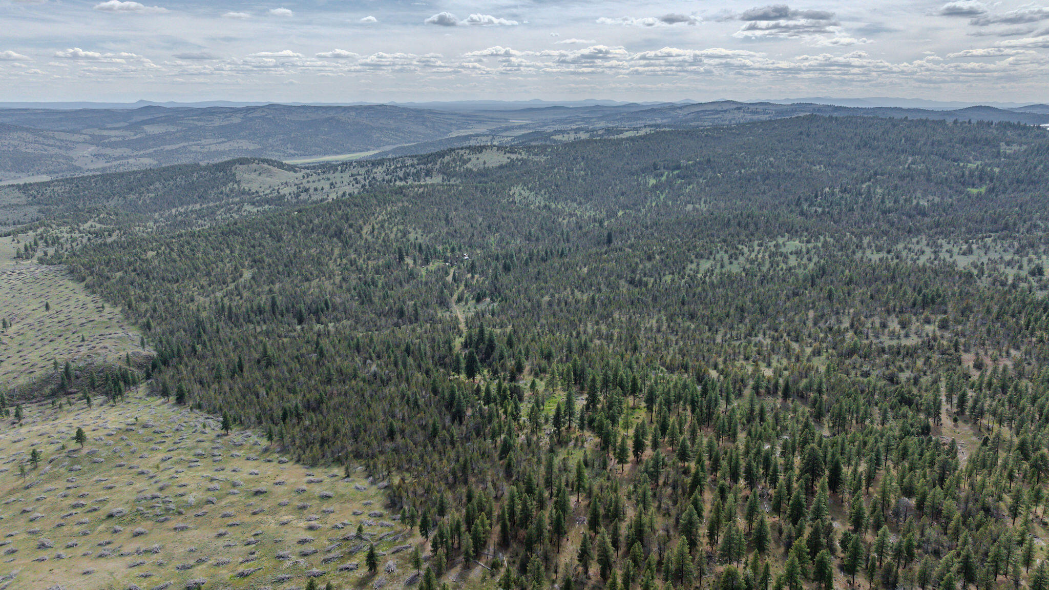 41225 Van Lake Road Prineville, OR 97754 - Photo 174 of 181 DJI_20260430154354_0337_D-HDR