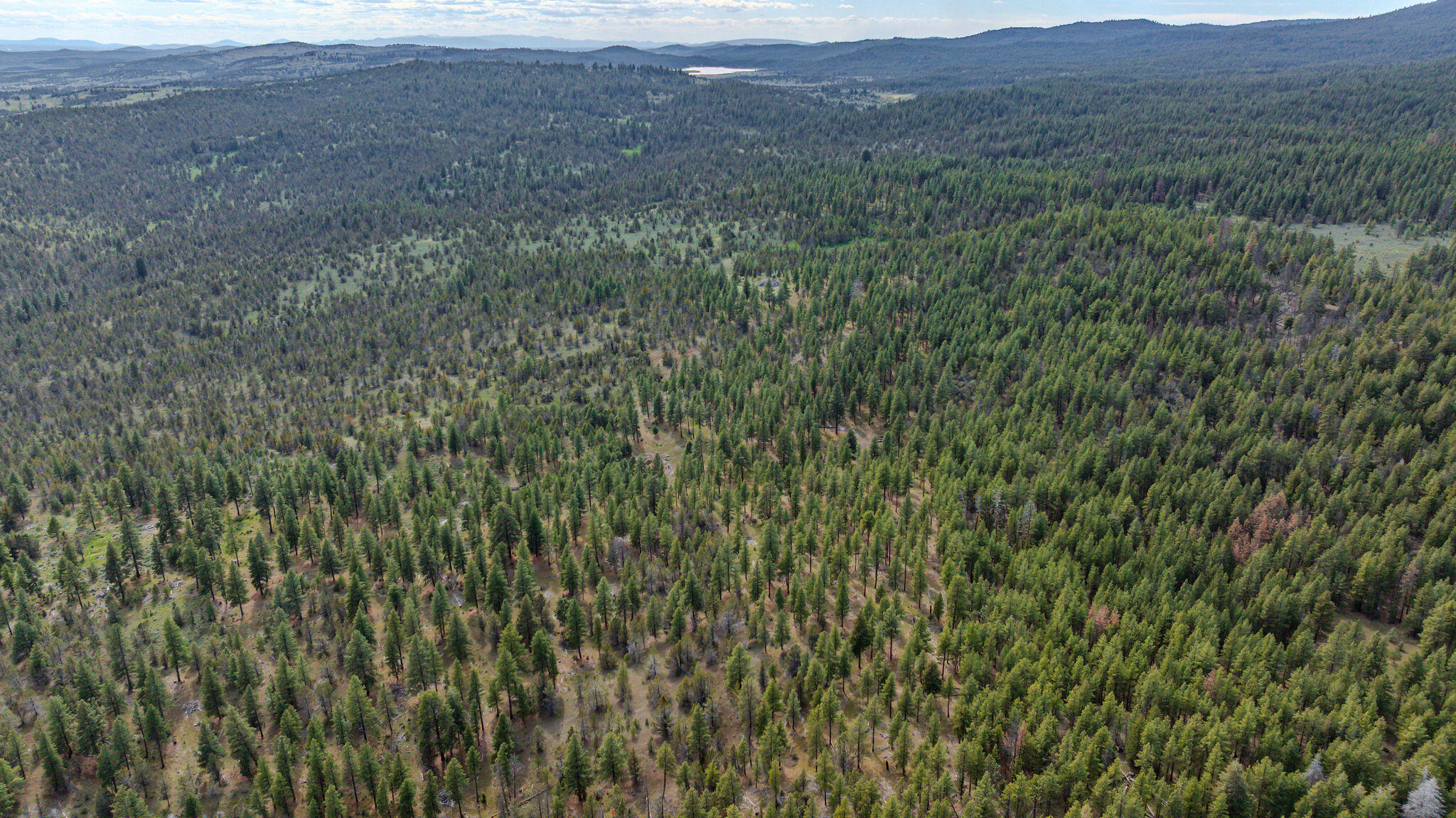 41225 Van Lake Road Prineville, OR 97754 - Photo 175 of 181 DJI_20260430154402_0340_D-HDR