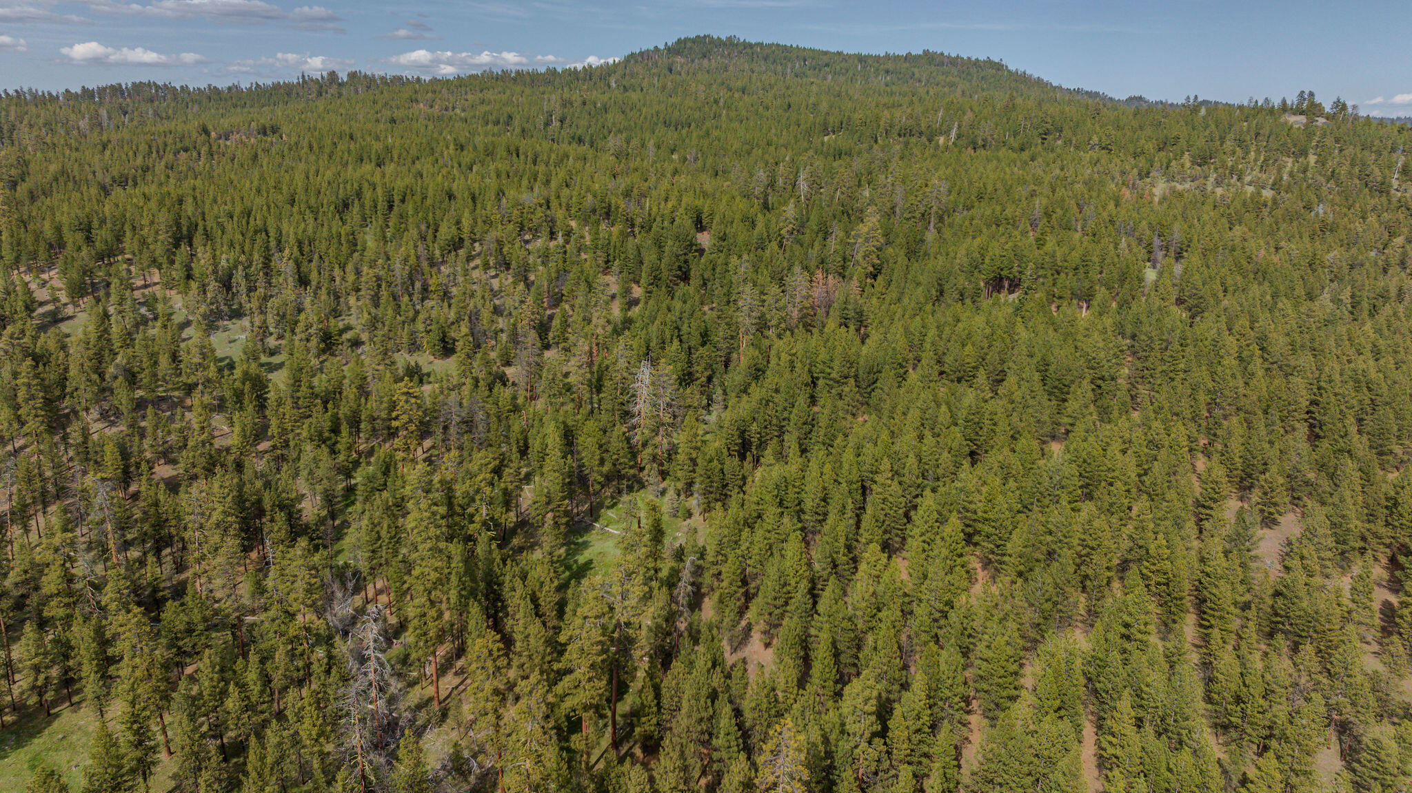 41225 Van Lake Road Prineville, OR 97754 - Photo 177 of 181 DJI_20260430160726_0349_D-HDR