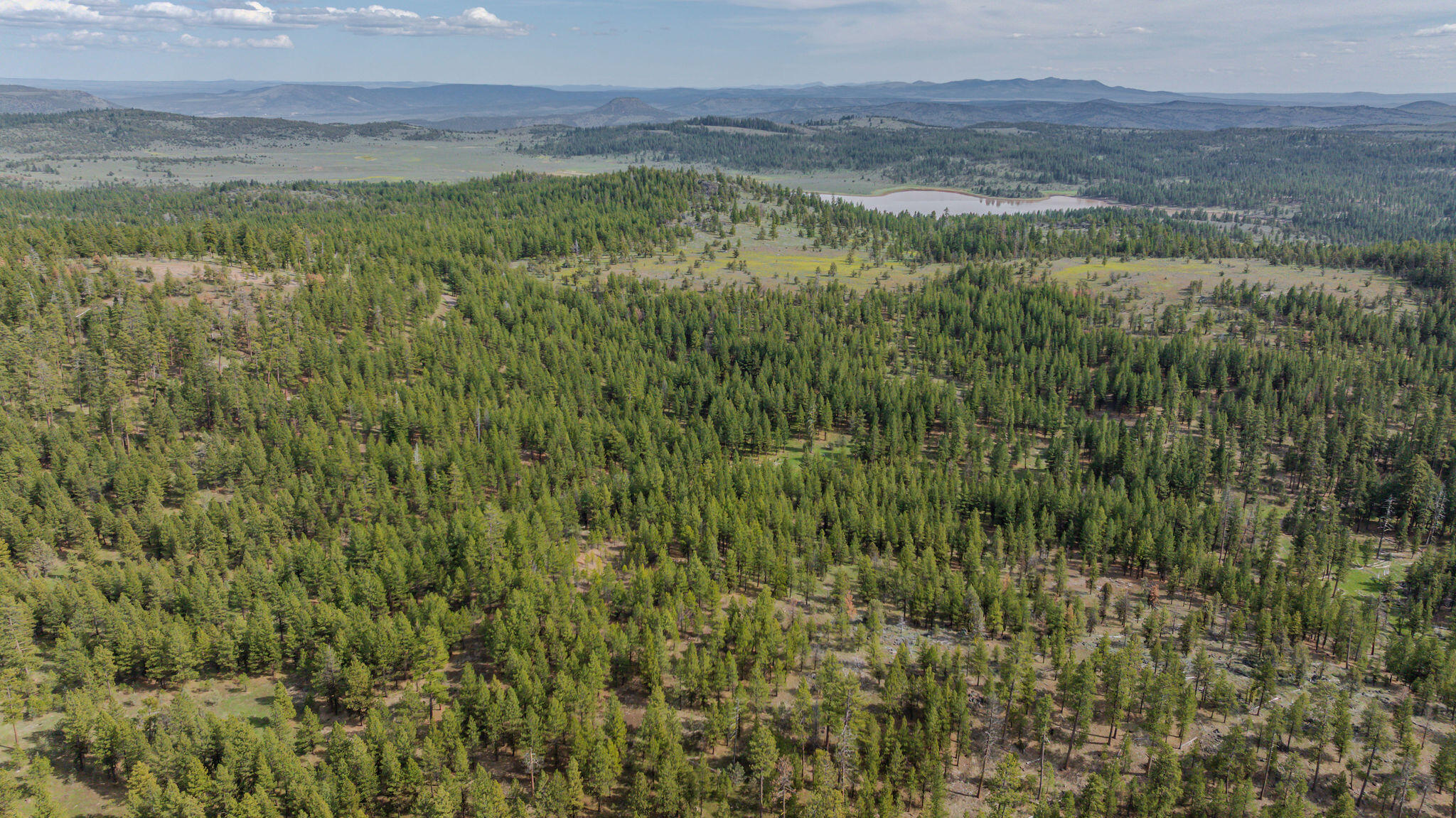 41225 Van Lake Road Prineville, OR 97754 - Photo 179 of 181 DJI_20260430160753_0355_D-HDR