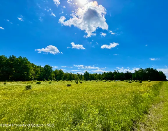 $259,000 | 9755 Highway 171, Union Dale, PA 18470