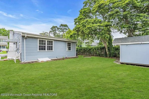 a view of a backyard with plants and large tree