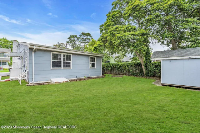 a view of a backyard with plants and large tree