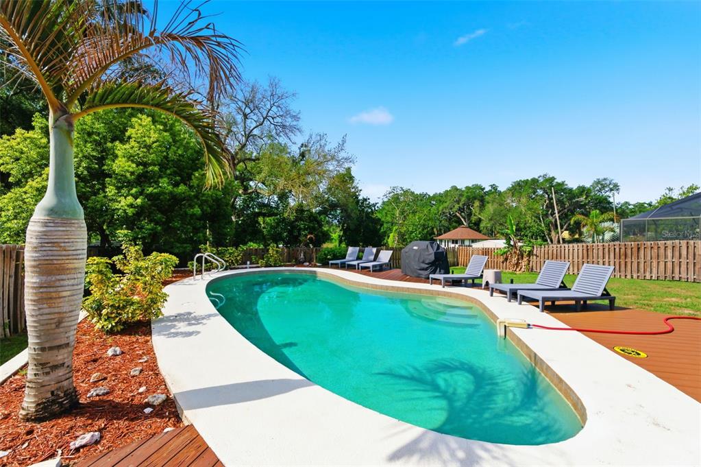 2816 Rustic Oaks Drive Palm Harbor, FL 34684 - Photo 48 of 70 a view of a swimming pool with a patio and a yard
