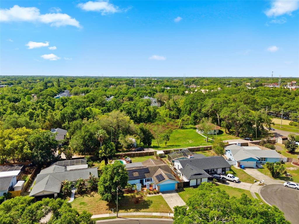 2816 Rustic Oaks Drive Palm Harbor, FL 34684 - Photo 60 of 70