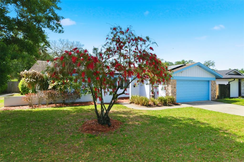 2816 Rustic Oaks Drive Palm Harbor, FL 34684 - Photo 6 of 70