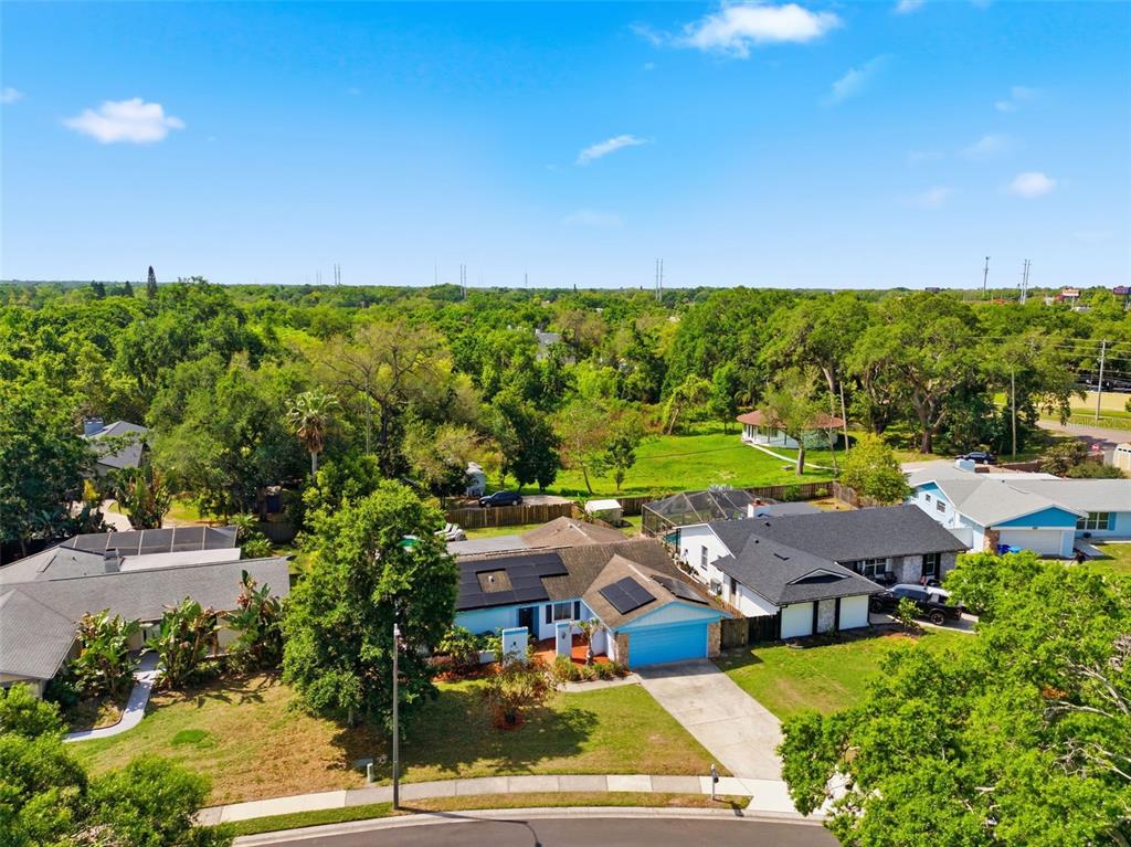 2816 Rustic Oaks Drive Palm Harbor, FL 34684 - Photo 61 of 70 a view of an outdoor space yard patio and swimming pool