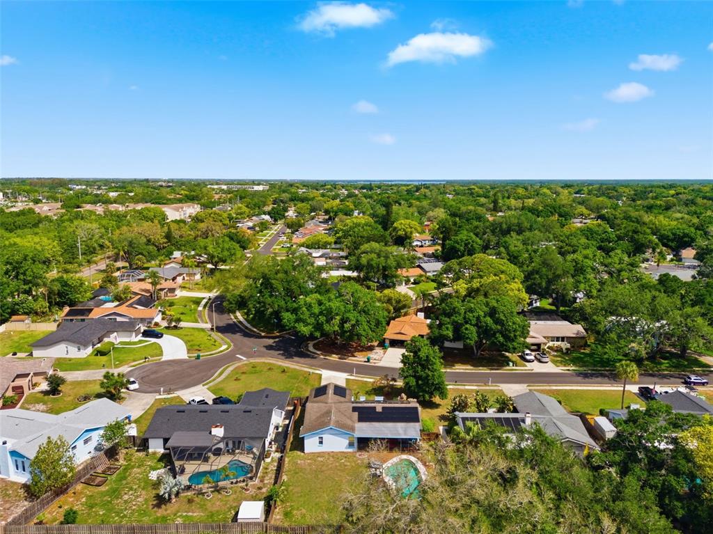 2816 Rustic Oaks Drive Palm Harbor, FL 34684 - Photo 64 of 70