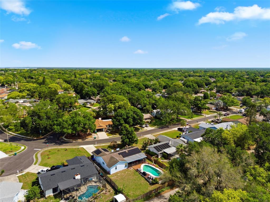 2816 Rustic Oaks Drive Palm Harbor, FL 34684 - Photo 65 of 70 a view of a city with mountains in the background