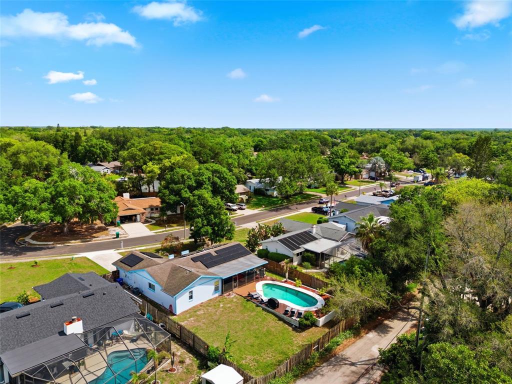 2816 Rustic Oaks Drive Palm Harbor, FL 34684 - Photo 68 of 70